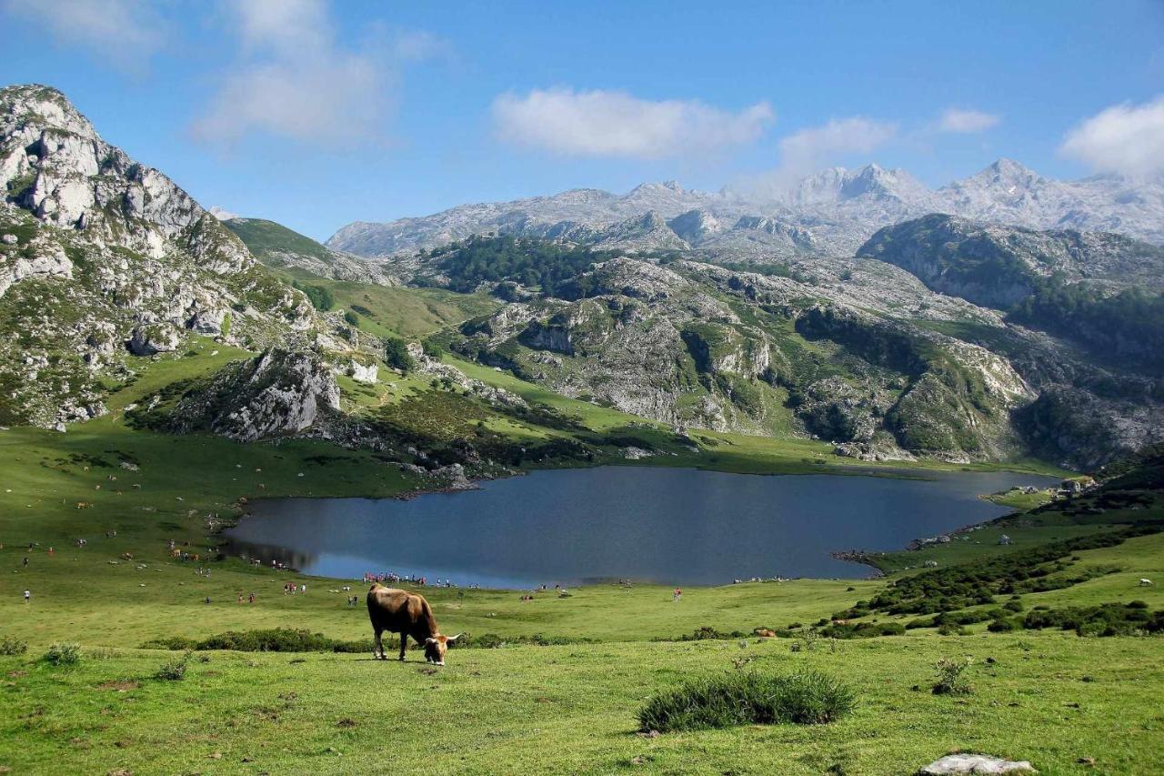شقة Casa Noval Zona Rural En El Centro De Asturias Bimenes المظهر الخارجي الصورة